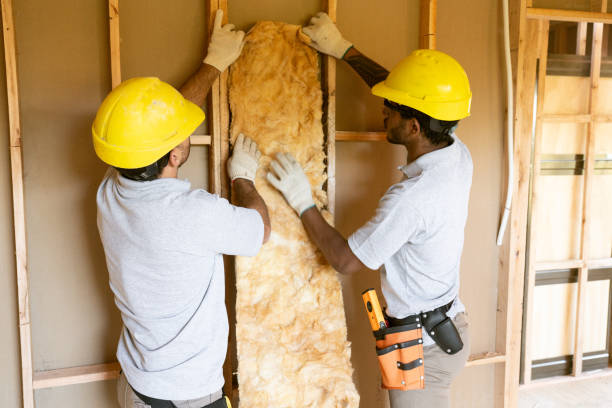 Best Eco-Friendly or Green Insulation Solutions  in Kilgore, TX