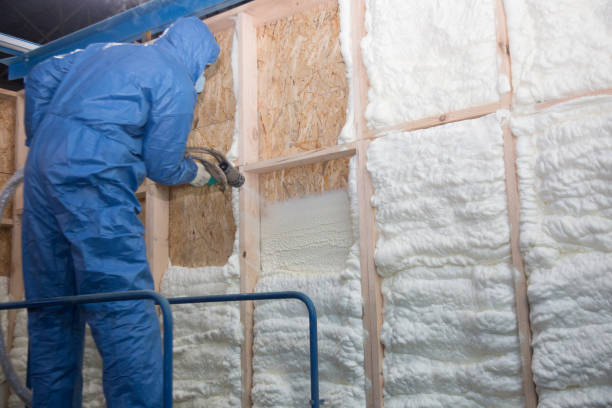 Best Basement Insulation  in Kilgore, TX